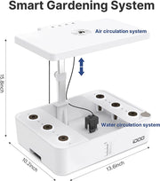 Hydroponics Growing System