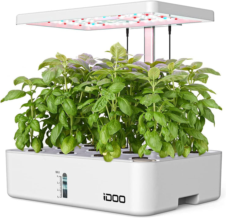 Hydroponics Growing System