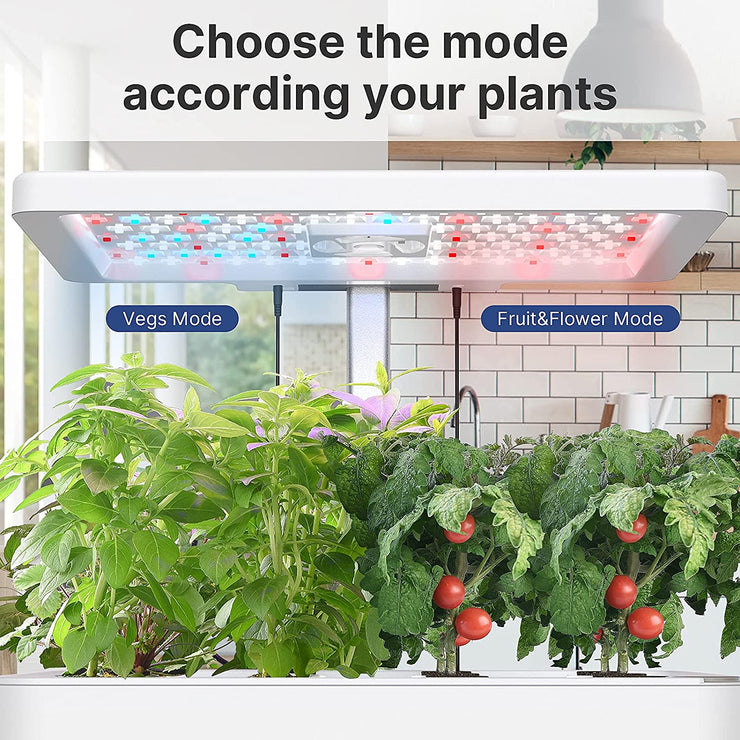 Hydroponics Growing System