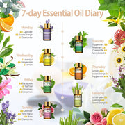 15pcs Essential Oils Set