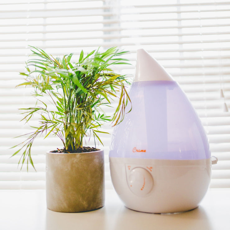 Cool Mist Humidifier